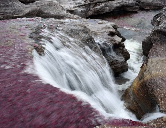 Viaje a Caño Cristales, Rio de los Dioses la aventura que llevaré por siempre en mis recuerdos