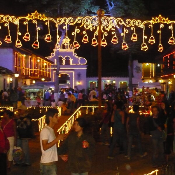 TOUR NAVIDEÑO POR MEDELLIN