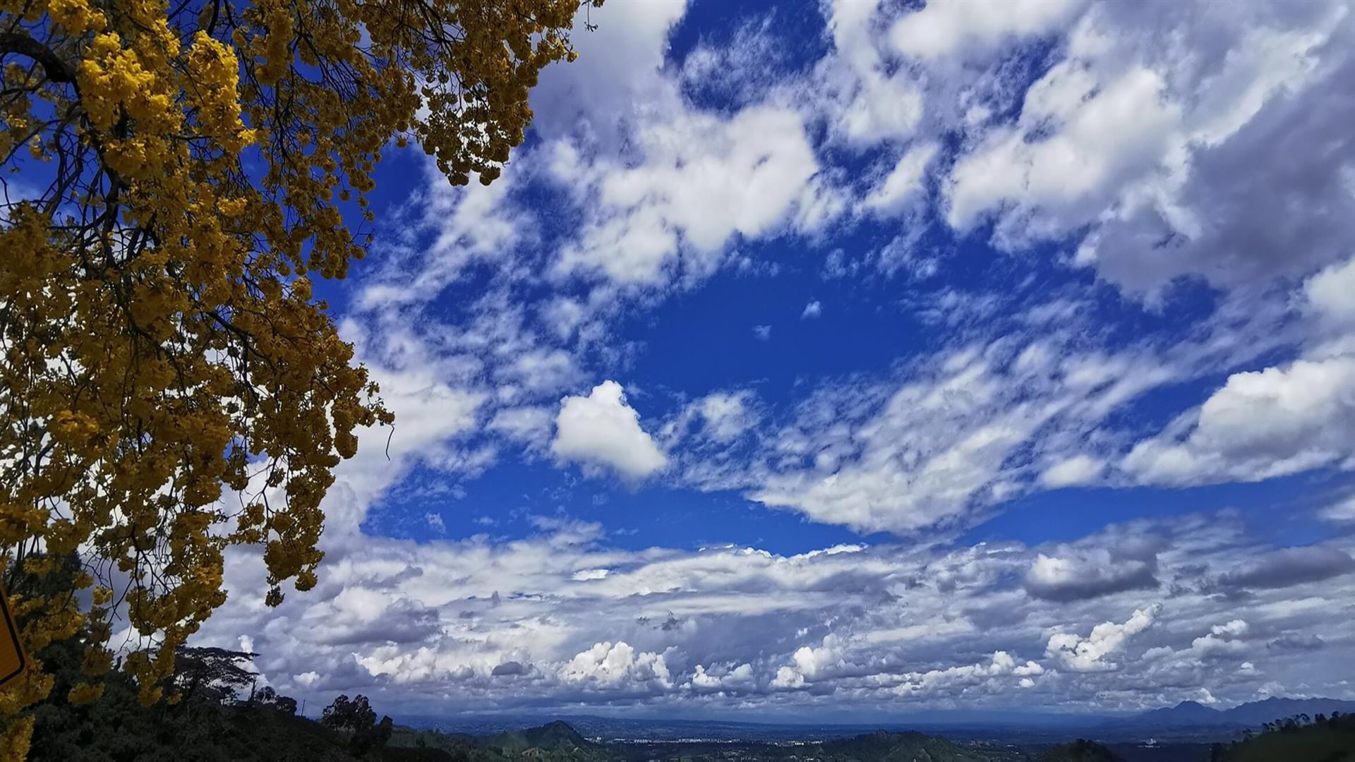 Medellin and the Coffee Axis Plan 8 days, 7 nights