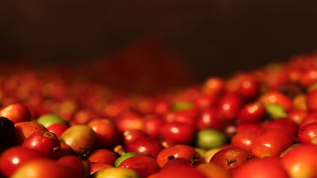 Eje Cafetero 5 Días, 4 Noches Temporada Alta Diciembre Y Enero